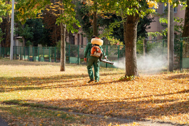 Bird Control in South Amherst, OH